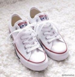Branded All Star White Sneakers