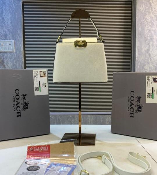 _Coach hamptons hobo bag 5401